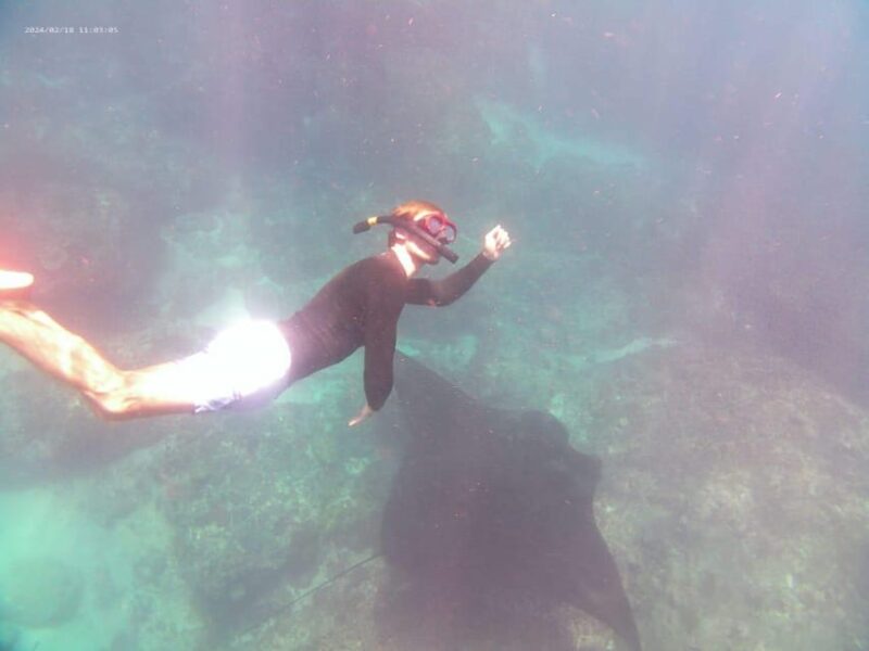 From Bali: Nusa Penida Day Tour With Private Snorkelling - Inclusions