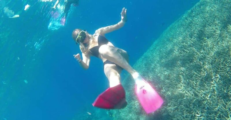 From Bali: Nusa Penida Day Tour With Private Snorkelling - Kelingking Beach Adventure