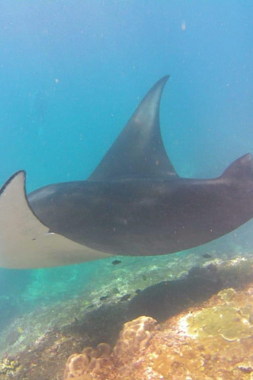 From Bali: Nusa Penida Day Tour With Private Snorkelling - Frequently Asked Questions