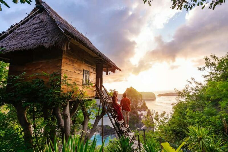 From Bali: Nusa Penida Day Trip - Beaches & Tree House - A Detailed Look at the Nusa Penida Day Trip Experience