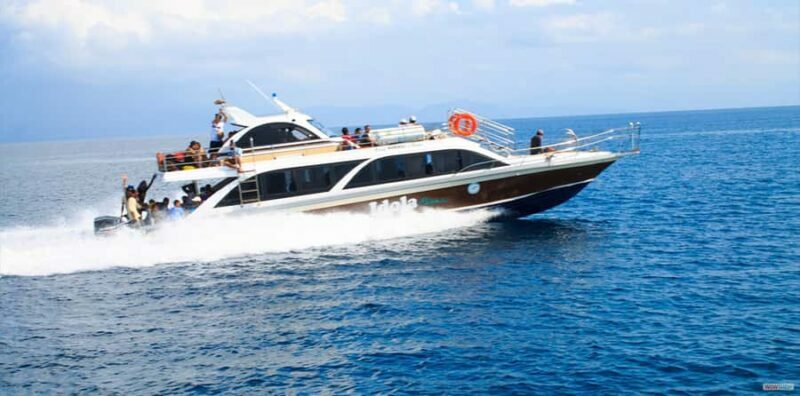 From Bali: Nusa Penida Full Day Private Snorkeling Tour - Key Points