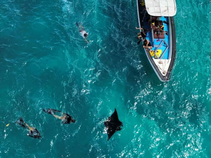 From Bali: Nusa Penida Full Day Private Snorkeling Tour - The Logistics and Practical Aspects