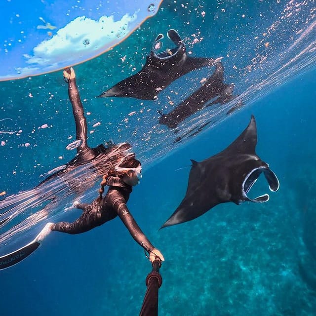 From Bali: Nusa Penida Island Day Tour With Snorkeling - Key Points