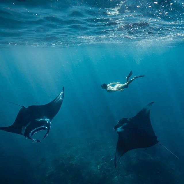 From Bali: Nusa Penida Island Day Tour With Snorkeling - Inclusions and Exclusions