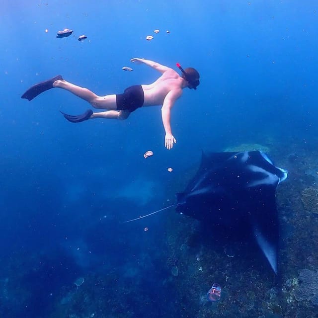 From Bali: Nusa Penida Island Day Tour With Snorkeling - Participant Information