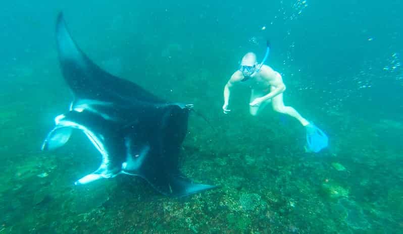 From Bali: Nusa Penida Manta Point Snorkeling and Land Tour - Key Points