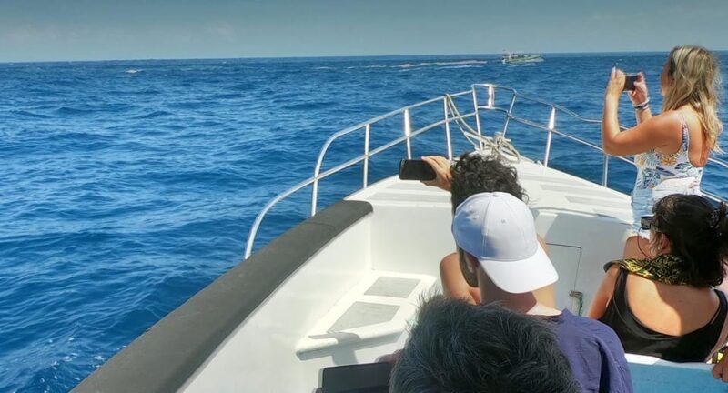 From Bali: Nusa Penida Manta Point Snorkeling and Land Tour - Transportation and Pickup