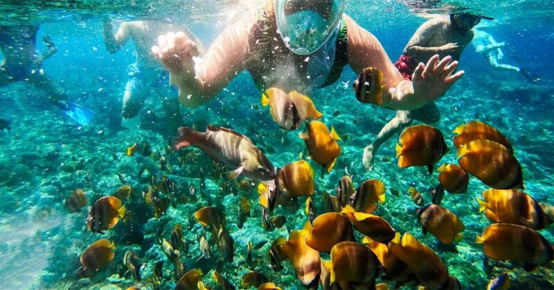From Bali: Nusa Penida Manta Point Snorkeling and Land Tour - Snorkeling Activities