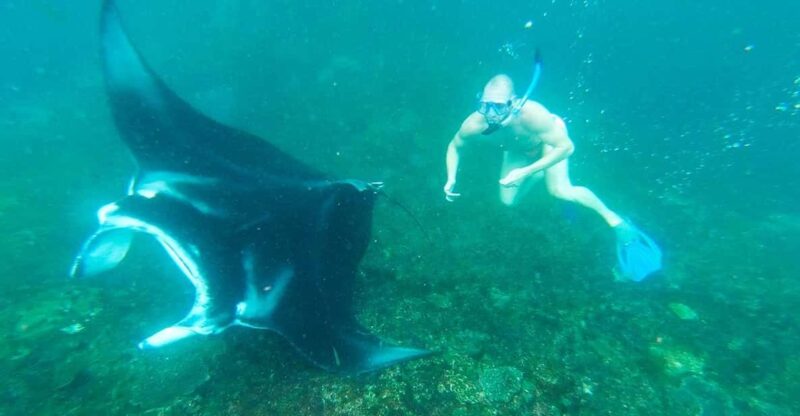 From Bali: Nusa Penida Manta Point Snorkeling and Land Tour - Lunch and Sightseeing