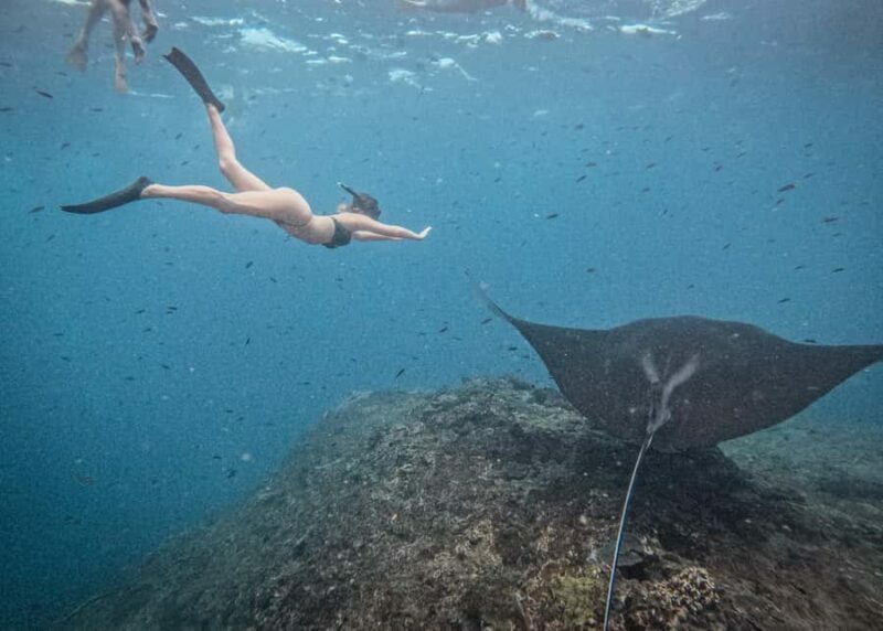 From Bali: Nusa Penida Manta Snorkeling Cruise & Island Tour - Key Points