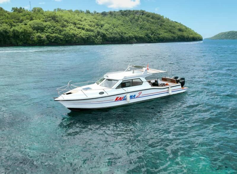 From Bali: Nusa Penida Manta Snorkeling Cruise & Island Tour - A Detailed Walkthrough of the Experience
