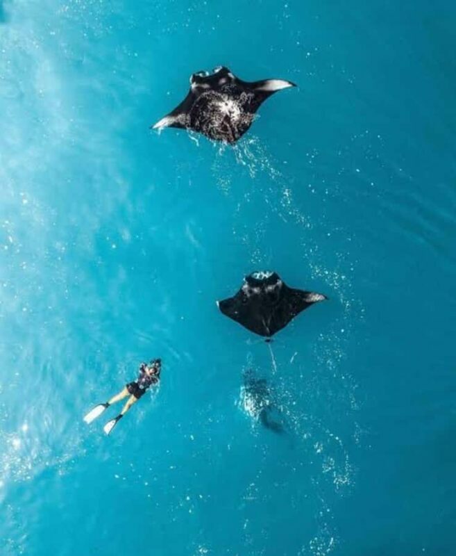 From Bali: Nusa Penida Private Snorkeling and Land Tour - Key Points