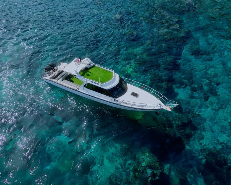 From Bali: Nusa Penida Private Snorkeling Tour With Lunch - Itinerary Highlights