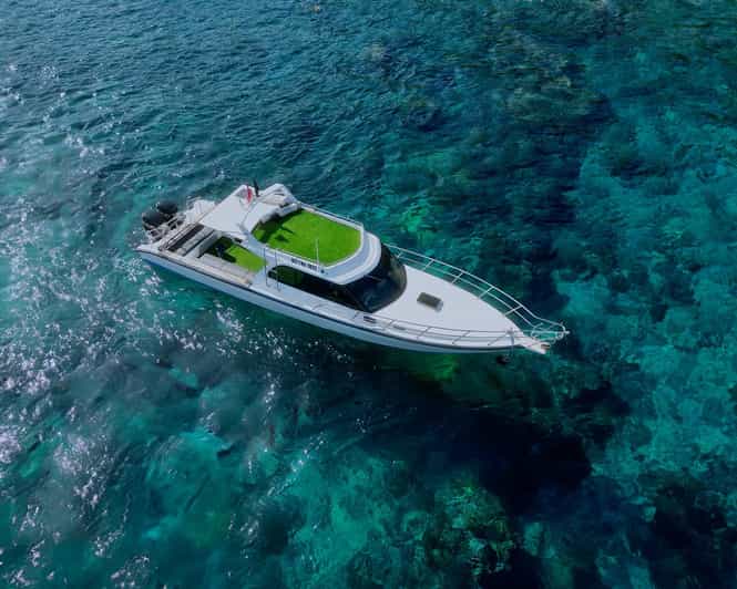 From Bali: Nusa Penida Private Snorkeling Tour With Lunch - Snorkeling Experiences