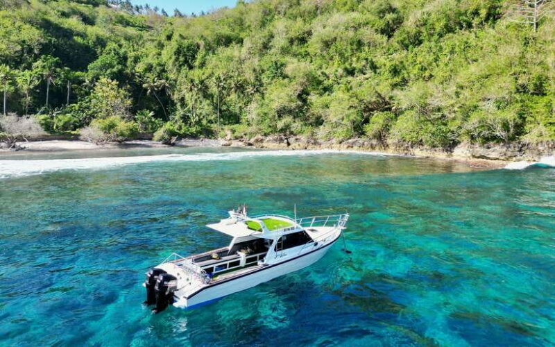 From Bali: Nusa Penida Private Snorkeling Tour with Lunch - Who Is This Tour Best For?