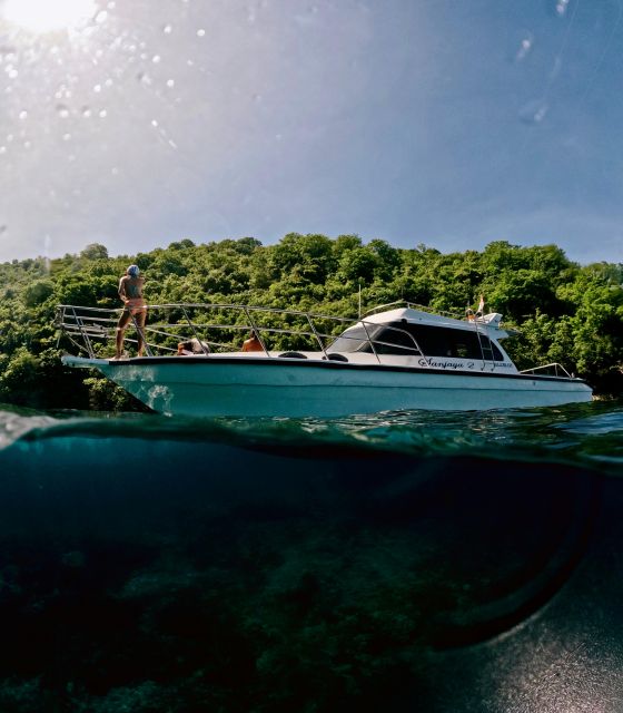 From Bali: Nusa Penida Private Snorkeling Tour With Lunch - Key Points