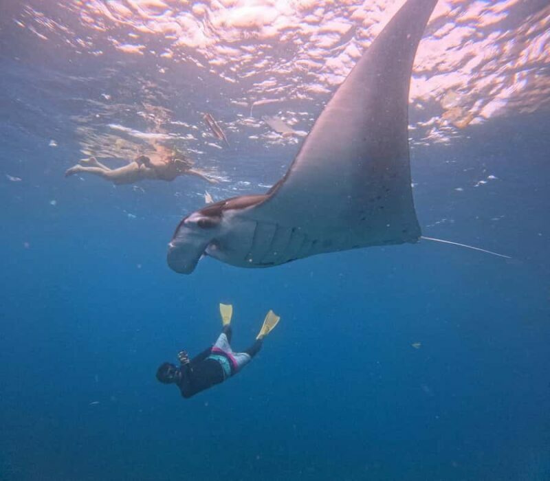 From Bali: Nusa Penida Snorkel 3 Spots w/ GoPro & Kayak tour - Who Will Enjoy This Tour?