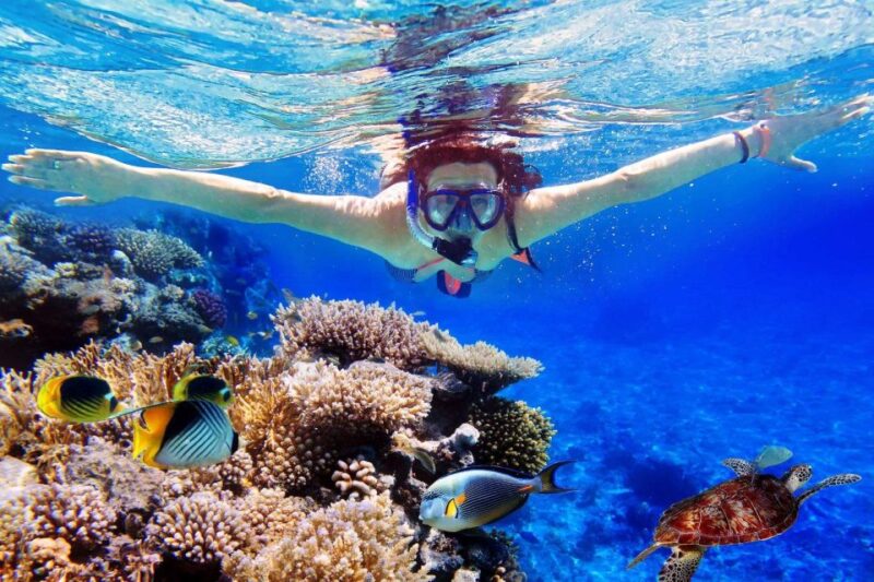 From Bali: Nusa Penida Snorkeling & Island Tour Special Trip - Itinerary Highlights