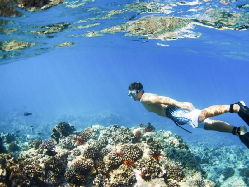 From Bali: Nusa Penida Snorkeling & Island Tour Special Trip - Snorkeling Experience