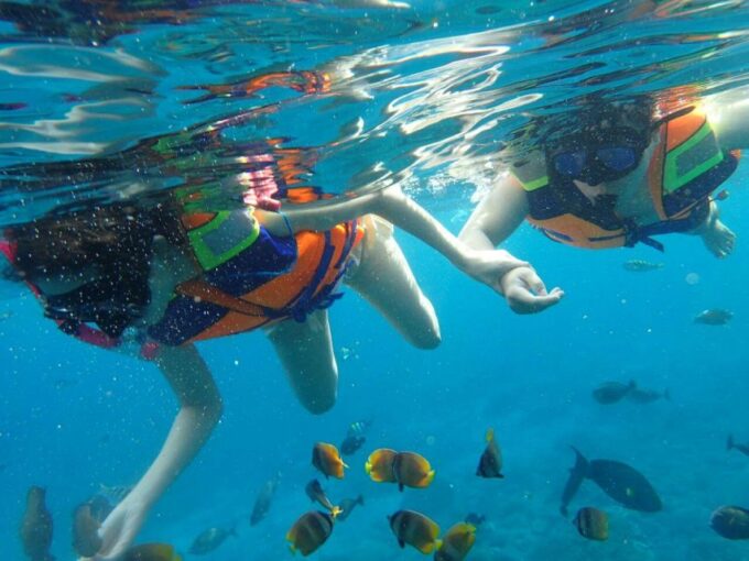 From Bali: Nusa Penida Snorkeling & Island Tour Special Trip - Frequently Asked Questions