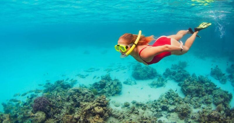 From Bali: Nusa Penida West Coast Private Tour With Lunch - Key Points