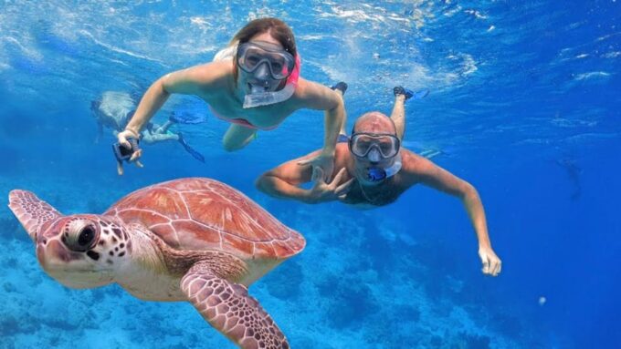 From Bali: Nusa Penida West Coast Private Tour With Lunch - Frequently Asked Questions