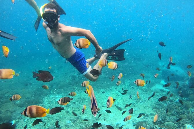 From Bali One Day Nusa Penida Tours With Manta Rays Snorkeling - Key Points