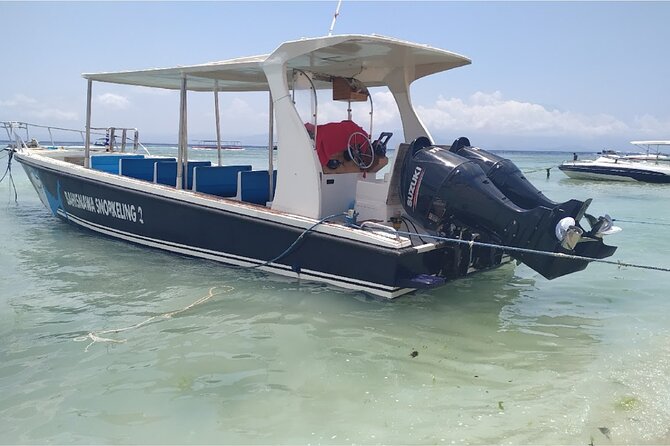 From Bali One Day Nusa Penida Tours With Manta Rays Snorkeling - Inclusions