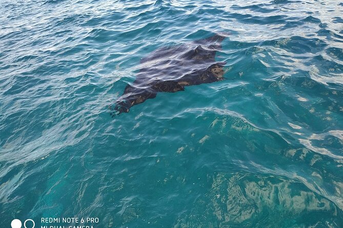From Bali One Day Nusa Penida Tours With Manta Rays Snorkeling - Reviews