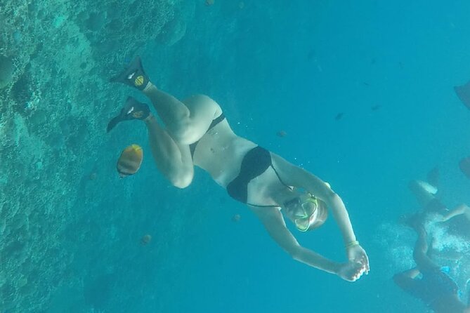 From Bali One Day Nusa Penida Tours With Manta Rays Snorkeling - Pricing and Availability