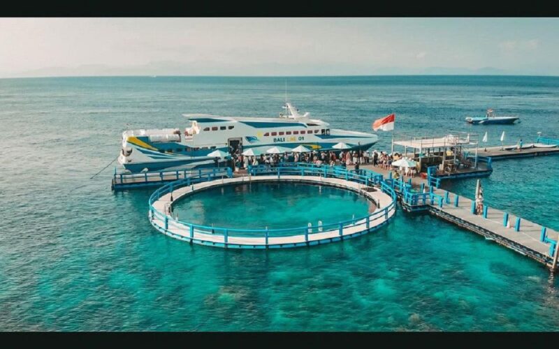 From Bali : Penida Island West Tour - Inclusions