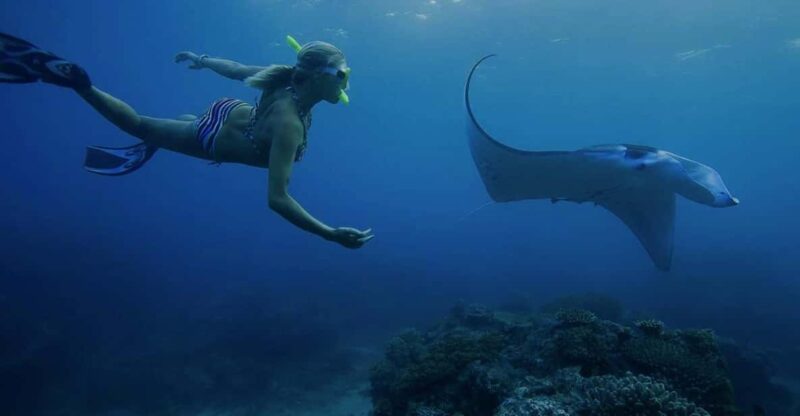 From Bali: Penida West Tour and Snorkeling With Manta Rays - Key Points