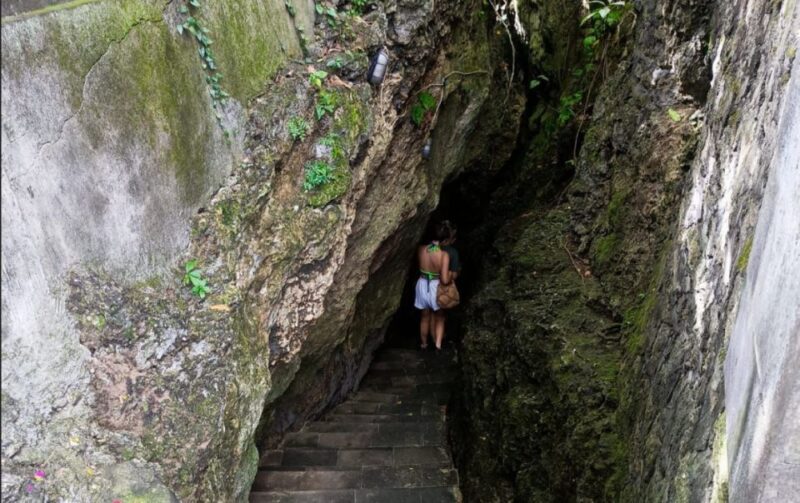 From Bali Port: Cultural and Nature Guided Day Tour - Itinerary Details