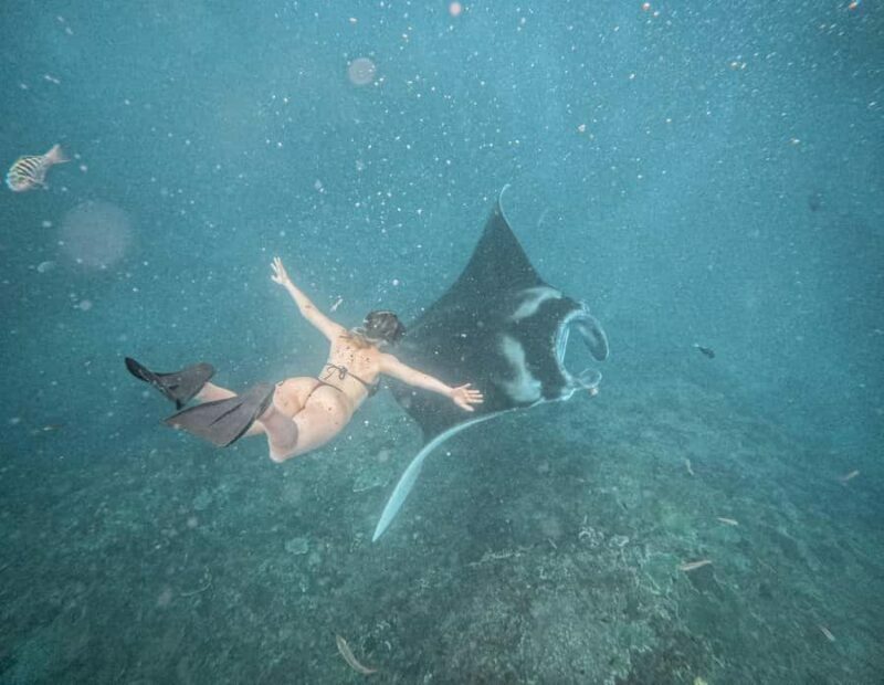 From Bali: Snorkeling 3 Spots with GoPro & West Penida Tour - Key Points