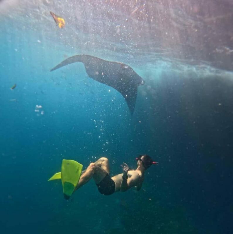 From Bali: Snorkeling 3 Spots with GoPro & West Penida Tour - An In-Depth Look at the Experience
