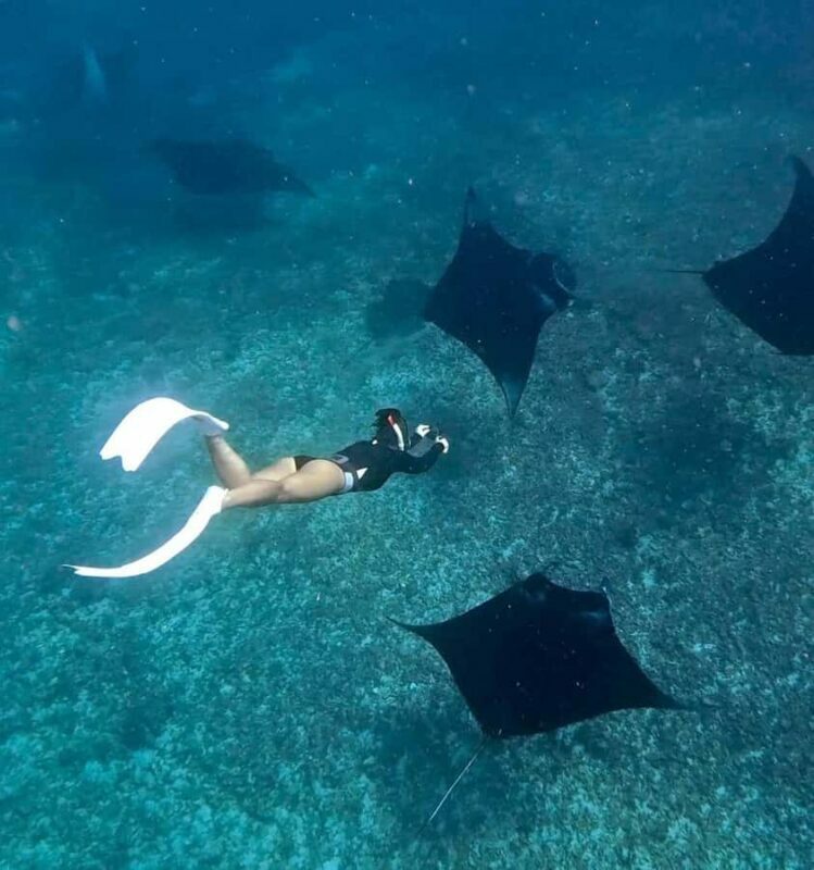 From Bali: Snorkeling at Manta Point Nusa Penida & Land Tour - Key Points