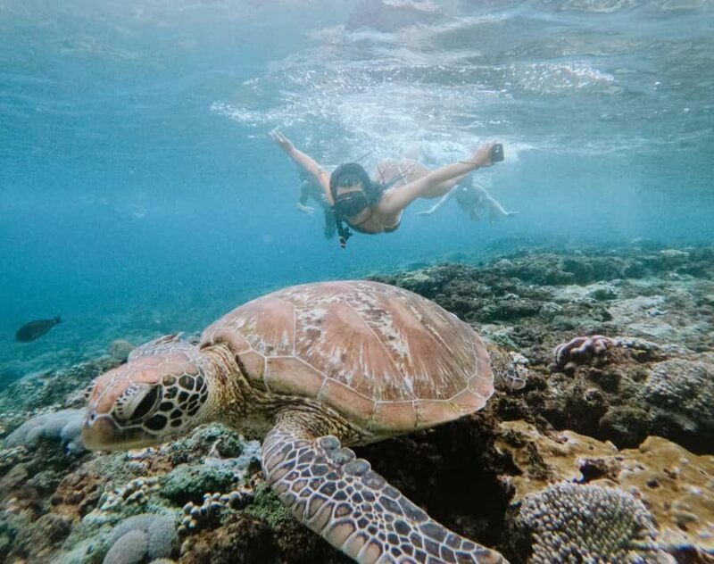 From Bali: Snorkeling at Manta Point Nusa Penida & Land Tour - Land Tour Highlights — Scenic Wonders and Iconic Landmarks