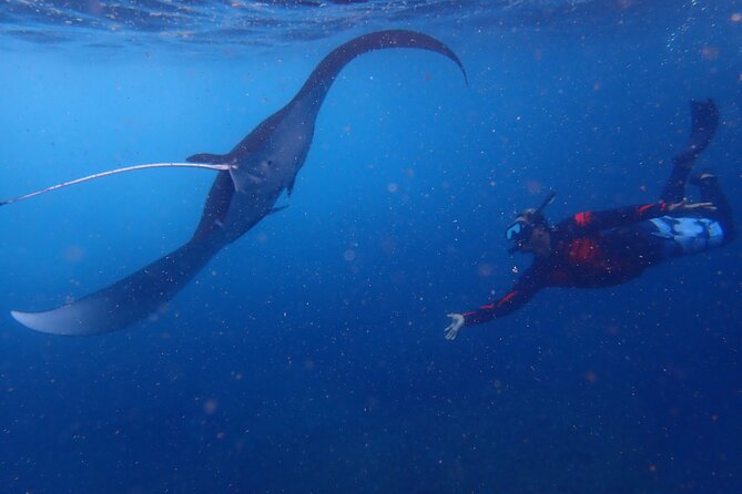 From Bali: Snorkeling Trip to Nusa Lembongan & Nusa Penida Island - Inclusions