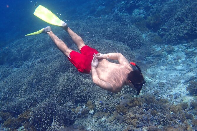 From Bali: Snorkeling Trip to Nusa Lembongan & Nusa Penida Island - Seasonal Considerations