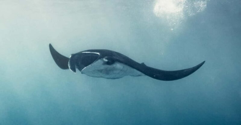 From Bali Snorkling Manta Point Nusa Penida & Land Tours - Itinerary and Locations