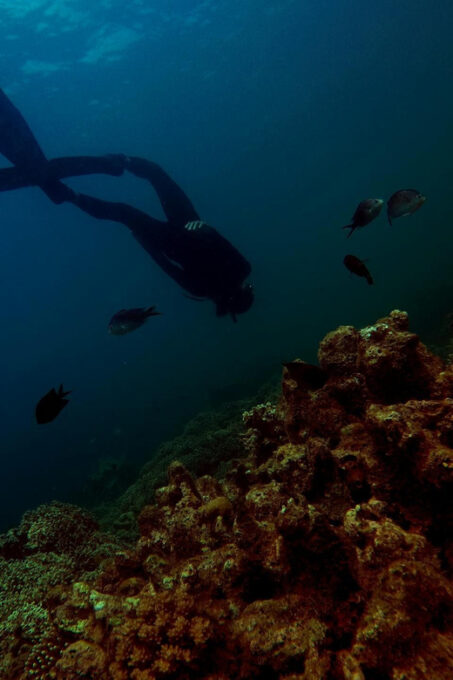 From Bali Snorkling Manta Point Nusa Penida & Land Tours - Inclusions and Exclusions