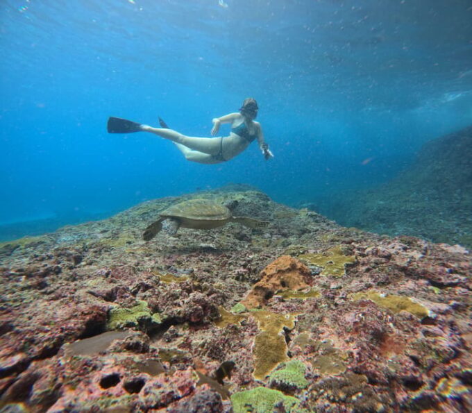 From Bali Snorkling Manta Point Nusa Penida & Land Tours - FAQs