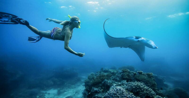 From Bali: Swim With Manta Rays in Nusa Penida - Pricing and Cancellation