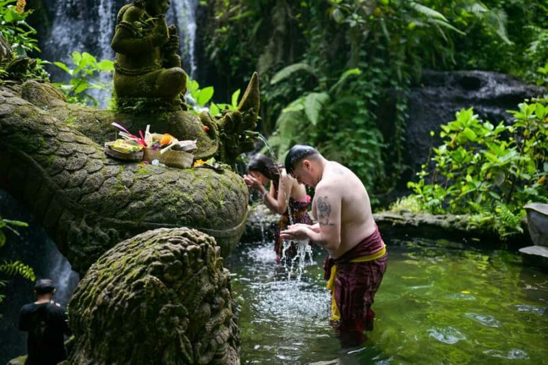From Bali: Taman Beji Griya Waterfall Ritual & Transfer - Key Points
