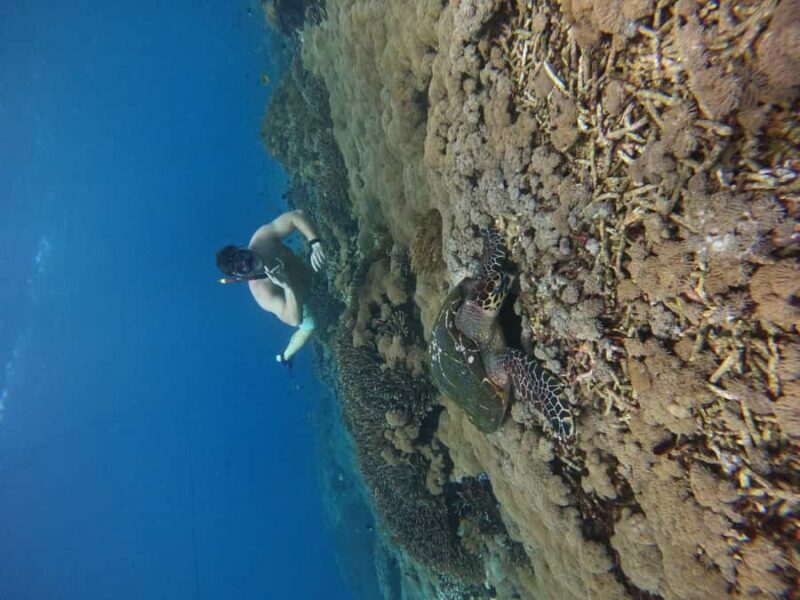 From Bali to Nusa Penida and Snorkel with Manta Ray + Lunch - Key Points