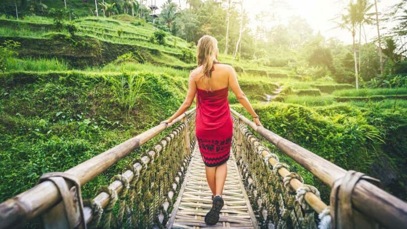 From Bali: Ubud Day Trip - Waterfall, Rice Terraces & More - A Deep Dive into the Experience