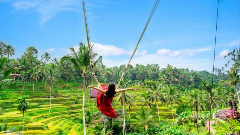 From Bali: Ubud Day Trip - Waterfall, Rice Terraces & More - Who Will Love This Tour?