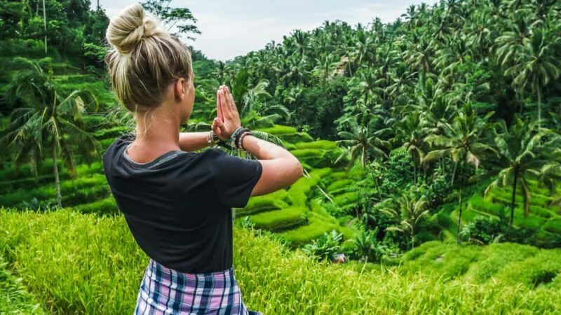 From Bali: Ubud Day Trip - Waterfall, Rice Terraces & More - The Sum Up: Is This Tour Right for You?