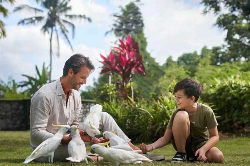 From Bali: Zoo Breakfast with Orangutans & Elephant Bath - Who Should Consider This Tour?