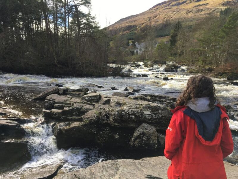 From Balloch: Loch Lomond National Park Tour With 2 Walks - Transportation and Logistics